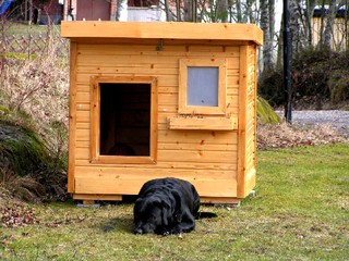 Tim - Sweden